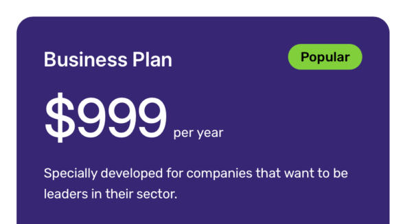 Business Plan 2