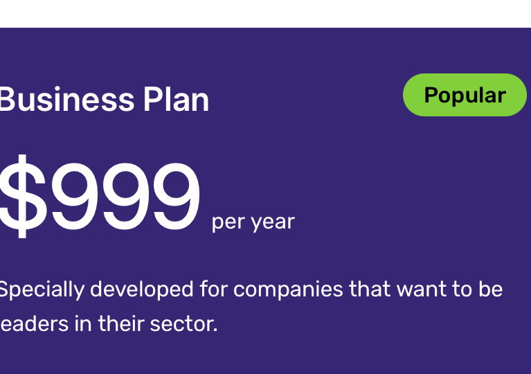Business Plan 2